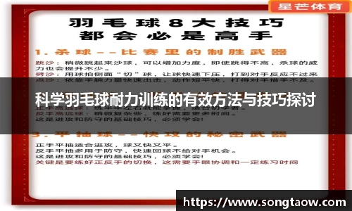 科学羽毛球耐力训练的有效方法与技巧探讨